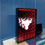 BULLS INFINITY TUNNEL