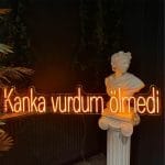 Kanka vurdum ölmedi Neon Tabela
