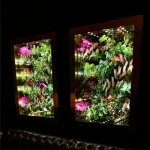 PLANT INFINITY TUNNEL