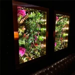 PLANT INFINITY TUNNEL