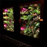 PLANT INFINITY TUNNEL