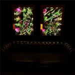 PLANT INFINITY TUNNEL