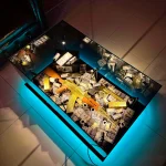 SAFE GUARD DOLLARS TABLE